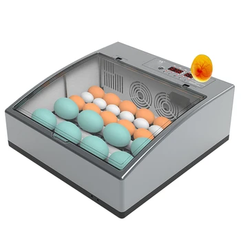 Автоматичен Инкубатор За Яйца Домашен Една Квачка Птица Пъдпъдъци Пиле Инкубатор Инкубатор За Разплодни Птици Стругар Ферма Излюпването На Инструменти 16 Яйца