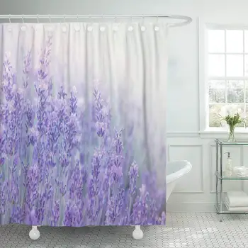 Завеса за душ с куки Цветя, лавандула и при слънчева светлина в центъра на вниманието на Пастелни тонове и претопени лилава поле Лавандула Декоративна баня
