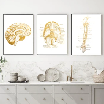 Ръчни Ставите Диаграма Анатомия, Патология на Плакат Платно Картина Мозъка Стенни Картини за Здравно Образование на Лекарите Офис Клас