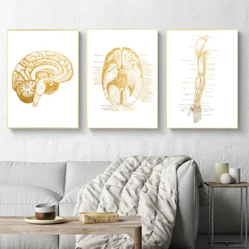Ръчни Ставите Диаграма Анатомия, Патология на Плакат Платно Картина Мозъка Стенни Картини за Здравно Образование на Лекарите Офис Клас 1