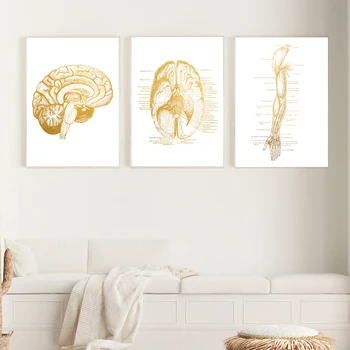 Ръчни Ставите Диаграма Анатомия, Патология на Плакат Платно Картина Мозъка Стенни Картини за Здравно Образование на Лекарите Офис Клас 2