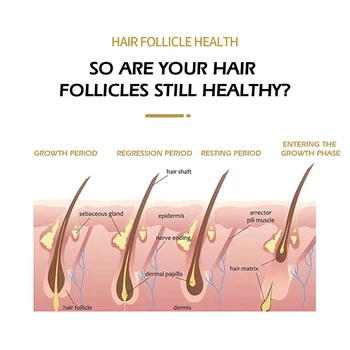 Студен Гел За Растеж на Косата AIMOOSI Borala Nano Cell За Красотата И Здравето на Косата, Кожата на Главата, Средства Срещу Косопад 2