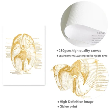 Ръчни Ставите Диаграма Анатомия, Патология на Плакат Платно Картина Мозъка Стенни Картини за Здравно Образование на Лекарите Офис Клас 4