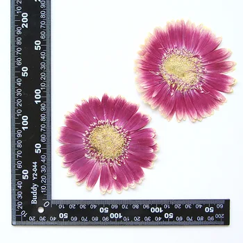 6-11 cm/2 бр., натурална монолитен борда корона цветето гербер, калъф за телефон 
